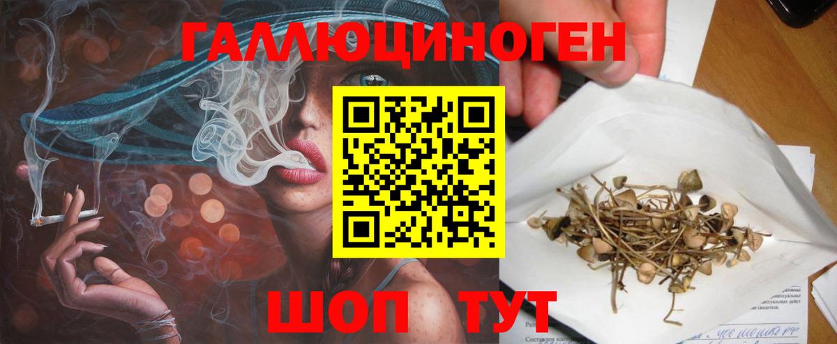 Галлюциногенные грибы Magic Shrooms  Вход с VPN  Зима  Галлюциногенные грибы Psilocybe 
