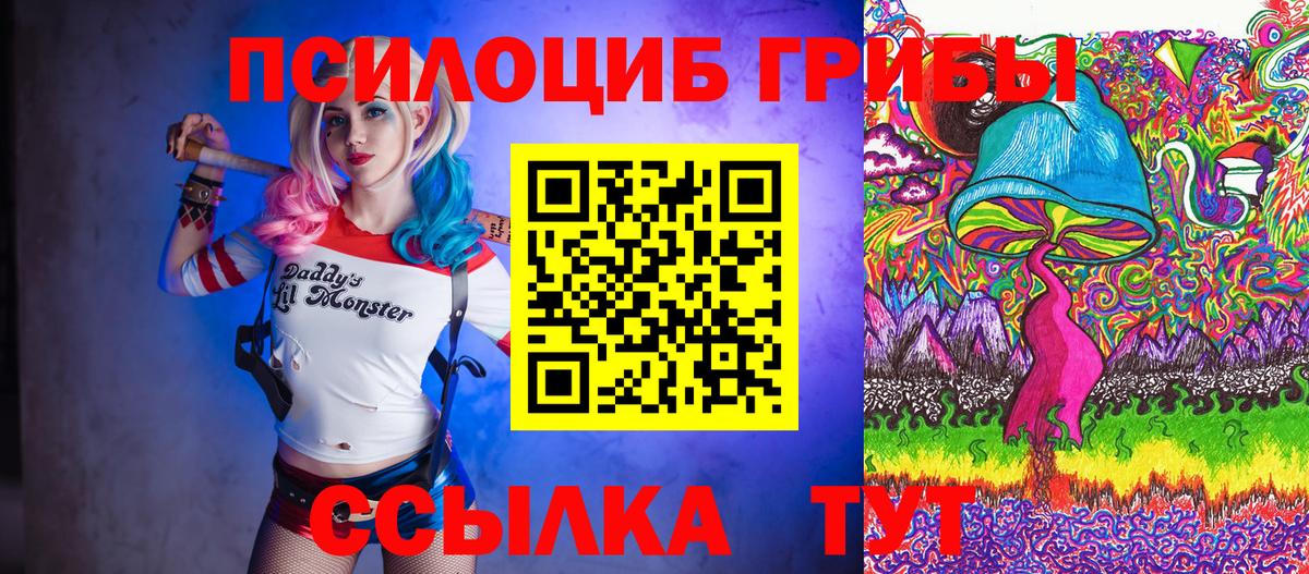 Псилоцибиновые грибы Psilocybine cubensis Зима
